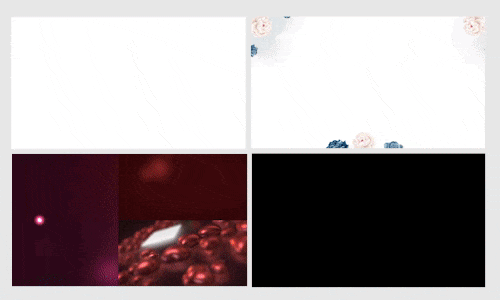 Prev-133.gif